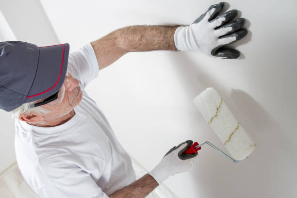 Best Wallpaper Removal and Painting  in Lewisburg, KY