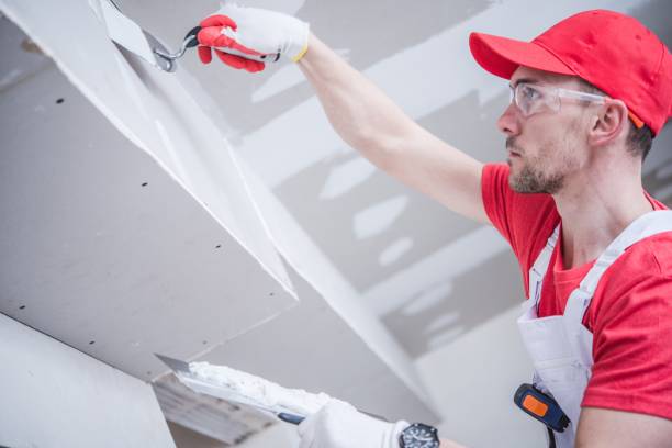 Best Drywall Repair  in Lewisburg, KY